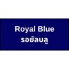 17.สีรอยัลบลู 2 Creative Innovation Ltd. | Safety and Personal Protective solutions